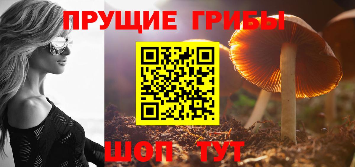 Псилоцибиновые грибы ЛСД Менделеевск