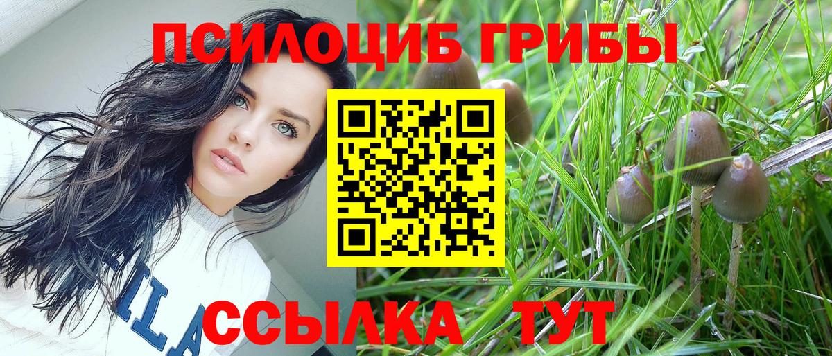 Псилоцибиновые грибы ЛСД  Вход с VPN  Менделеевск 